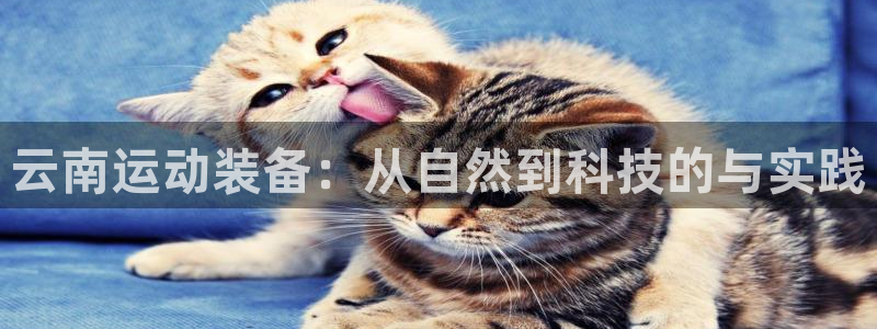 海南意昂体育4发展怎么样：云南运动装备：从自然到科技