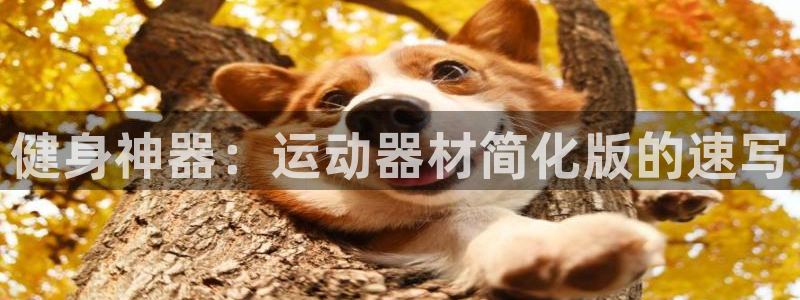 德国意昂4集团：健身神器：运动器材简化版的速写