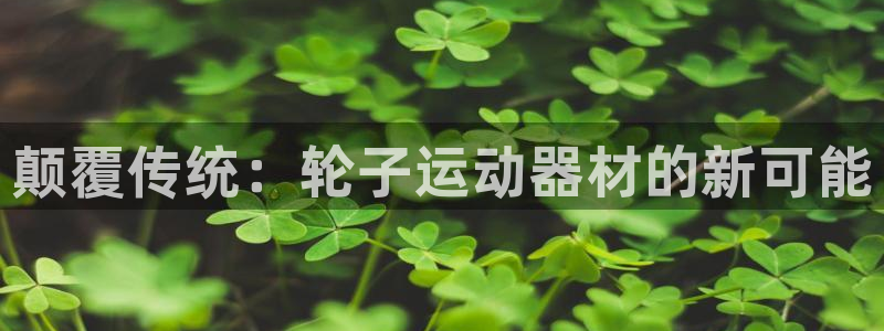 意昂体育4是干嘛的公司：颠覆传统：轮子运动器材的新可能