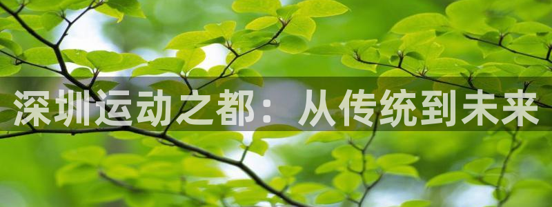 意昂4官方：深圳运动之都：从传统到未来