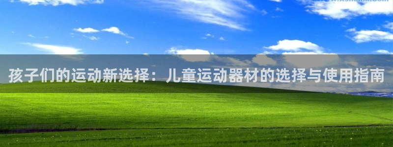 意昂4集团官网首页：孩子们的运动新选择：儿童运动器材的选择与