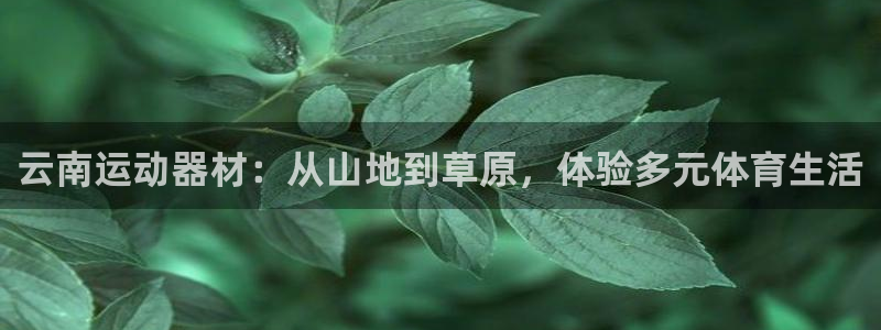意昂体育4注册：云南运动器材：从山地到草原，体验多元体育生活