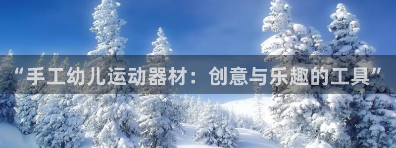 意昂4神州：“手工幼儿运动器材：创意与乐趣的工具”