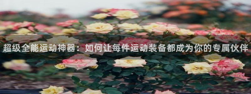 意昂4娱乐代理怎么样：超级全能运动神器：如何让每件运动装备都