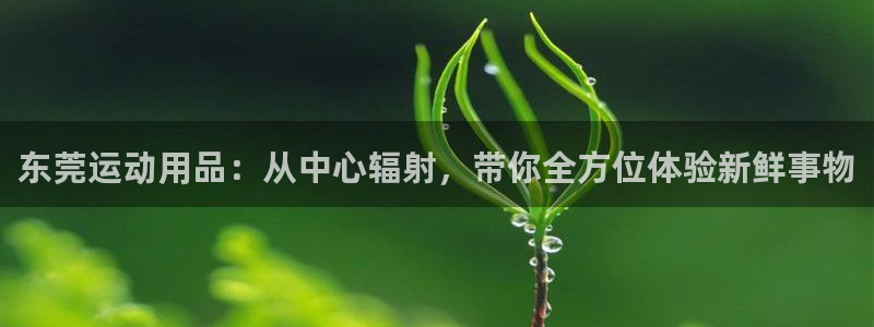 意昂4集团：东莞运动用品：从中心辐射，带你全方位体验新鲜事物