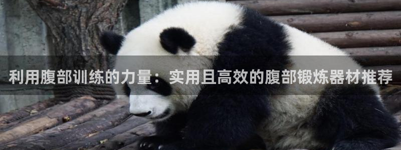 意昂4娱乐代理怎么样