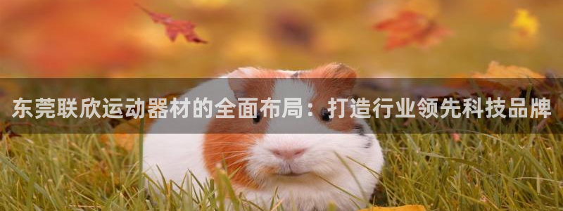 意昂4娱乐首页网站大全:东莞联欣运动器材的全面布局:打造行业