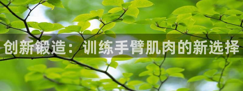 意昂4新能源:创新锻造:训练手臂肌肉的新选择