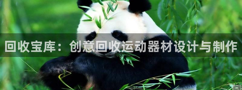 意昂体育4娱乐：回收宝库：创意回收运动器材设计与制作