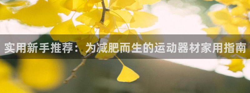 意昂4集团：实用新手推荐：为减肥而生的运动器材家用指